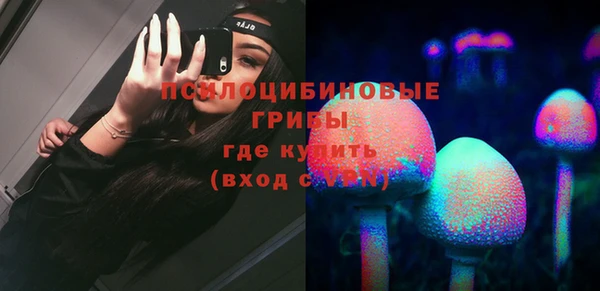 дживик Абинск
