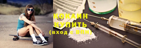 дживик Абинск