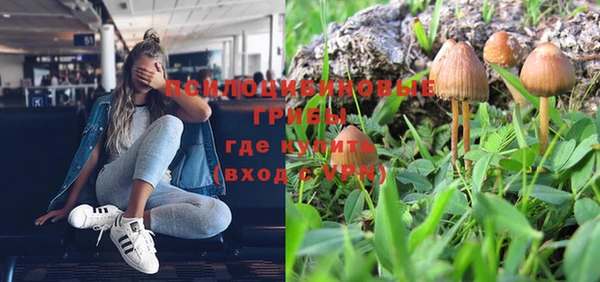 дживик Абинск