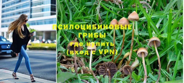тгк Абдулино