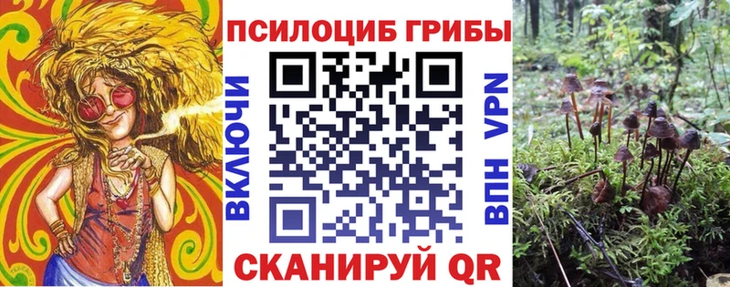 где найти наркотики  Тула  блэк спрут ССЫЛКА  Псилоцибиновые грибы мицелий 